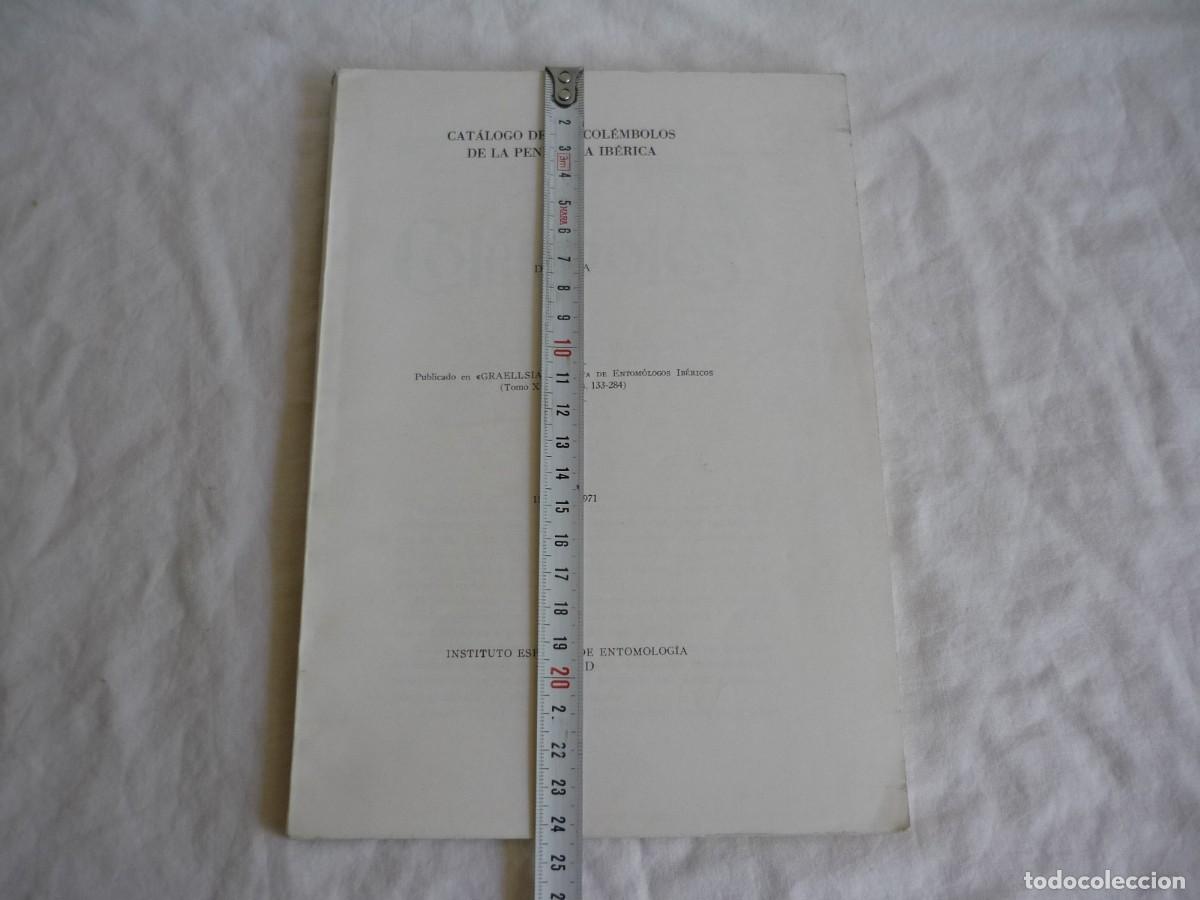 Libros de segunda mano: Cat&aacute;logo de los col&eacute;mbolos de la Pen&iacute;nsula Ib&eacute;rica D. Selga 1971 - Foto 4