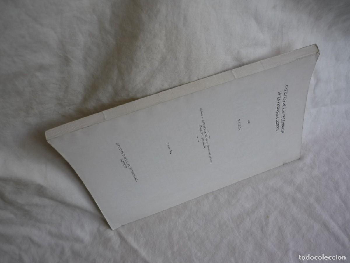 Libros de segunda mano: Cat&aacute;logo de los col&eacute;mbolos de la Pen&iacute;nsula Ib&eacute;rica D. Selga 1971 - Foto 5