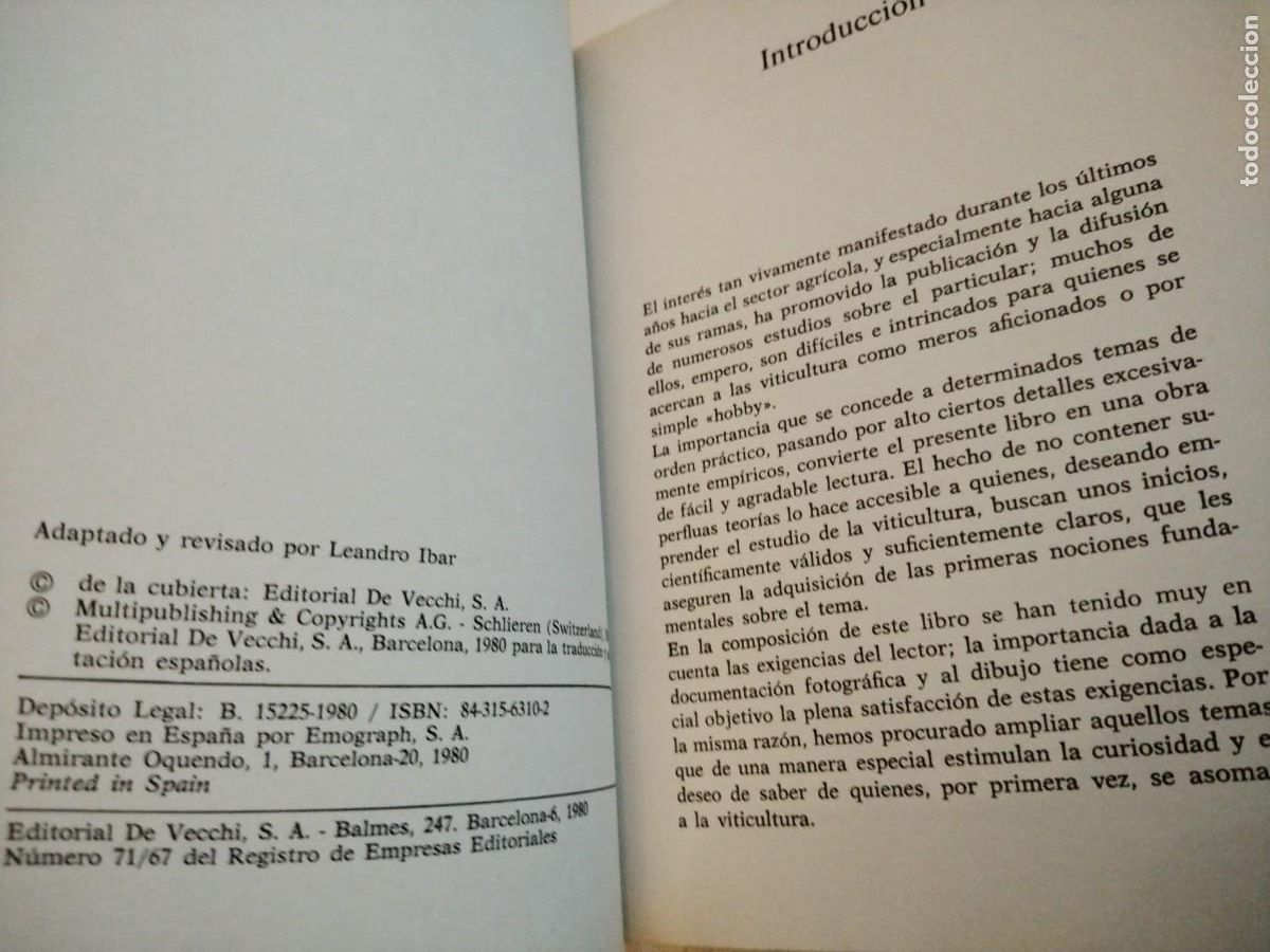 Libros de segunda mano: Viticultura rentable -BOFFELLI - EDITORIAL DE VECCHI - Foto 4