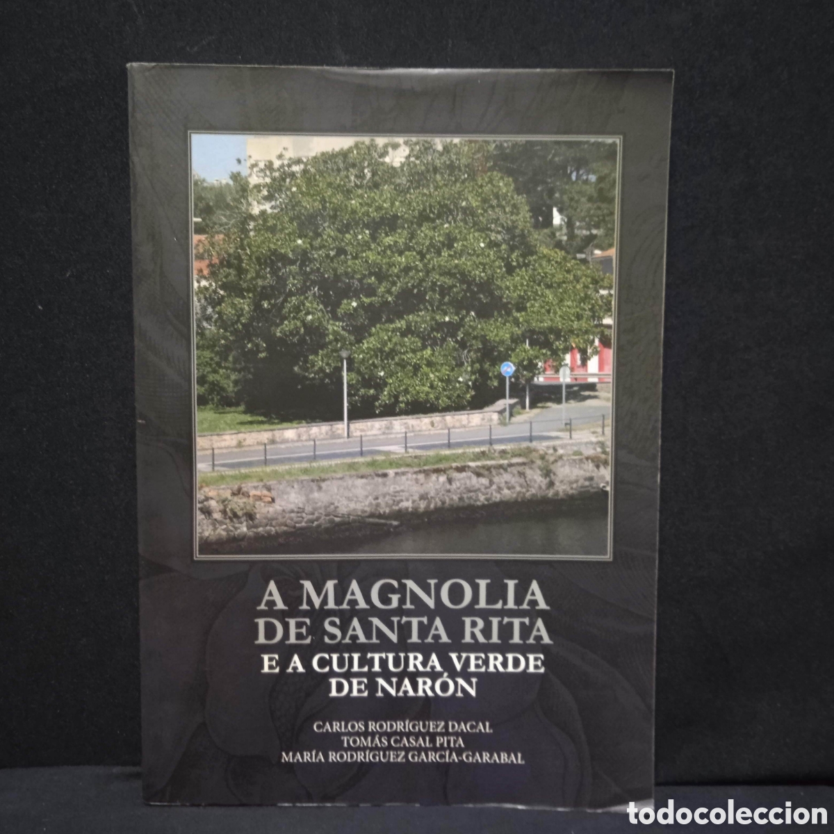 Libros de segunda mano: A MAGNOLIA DE SANTA RITA E A CULTURA VERDE DE NAR&Oacute;N - RODR&Iacute;GUEZ DACAL CASAL PITA RODR&Iacute;GUEZ ... #8704