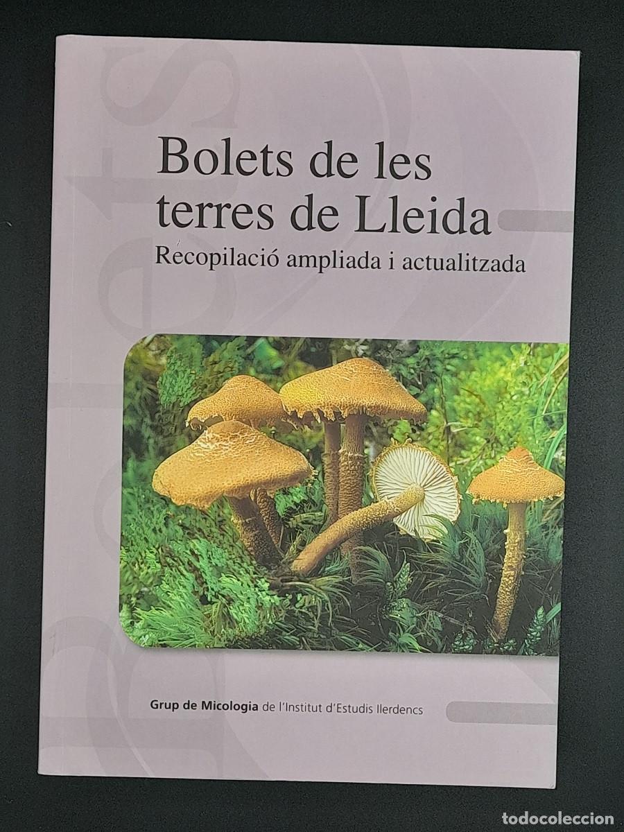 Libros de segunda mano: Bolets de les terres de Lleida Recopilaci&oacute; ampliada i actualitzada, 2012 - Foto 1