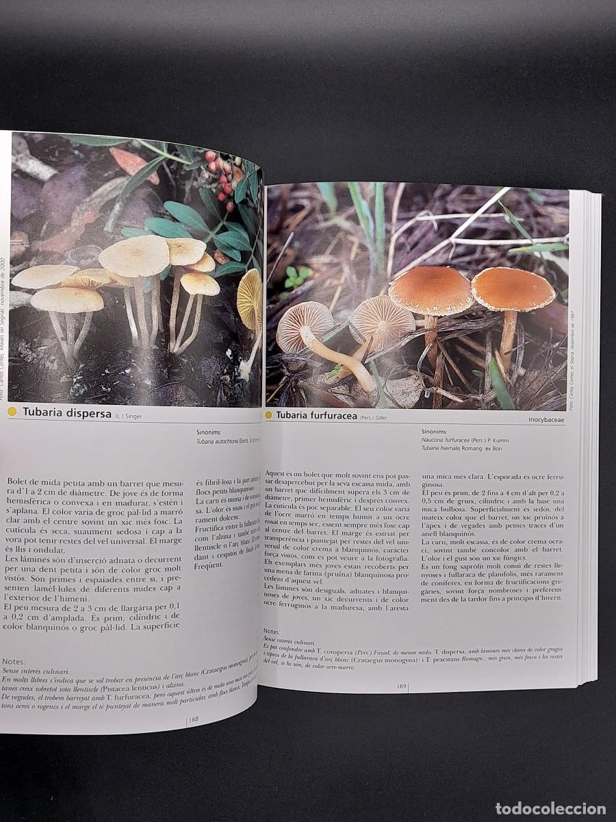 Libros de segunda mano: Bolets de les terres de Lleida Recopilaci&oacute; ampliada i actualitzada, 2012 - Foto 4