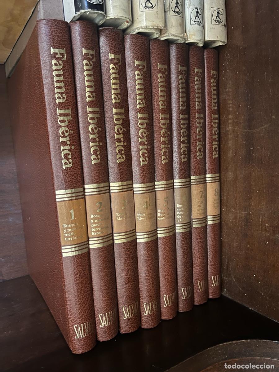 Gebrauchte B&uuml;cher: ENCICLOPEDIA FAUNA IB&Eacute;RICA Y EUROPEA &middot; F&Eacute;LIX RODR&Iacute;GUEZ DE LA FUENTE &middot; 8 TOMOS COMPLETA