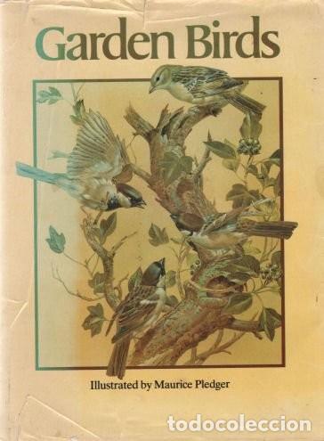Libros de segunda mano: Garden Birds. Maurice Pledger - Foto 1