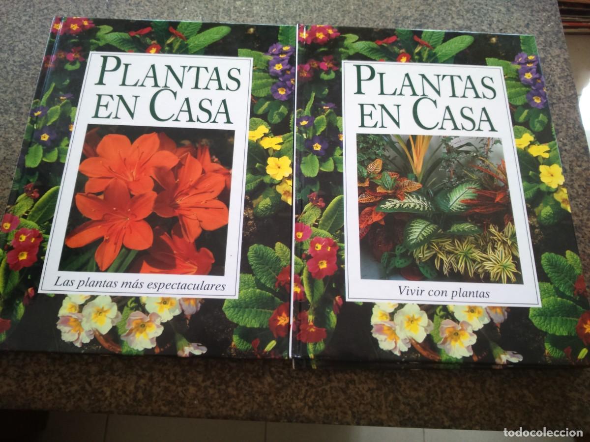 Libros de segunda mano: PLANTAS DE CASA -- 4 TOMOS -- HYMSA EDICIONES 2000 -- - Foto 1