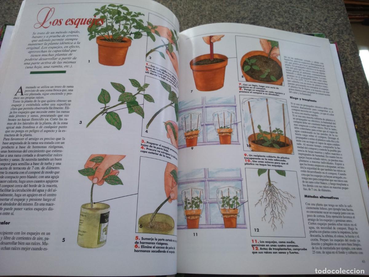 Libros de segunda mano: PLANTAS DE CASA -- 4 TOMOS -- HYMSA EDICIONES 2000 -- - Foto 2