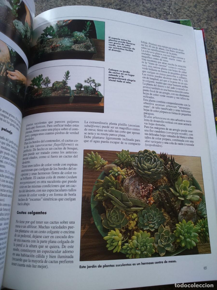 Libros de segunda mano: PLANTAS DE CASA -- 4 TOMOS -- HYMSA EDICIONES 2000 -- - Foto 3