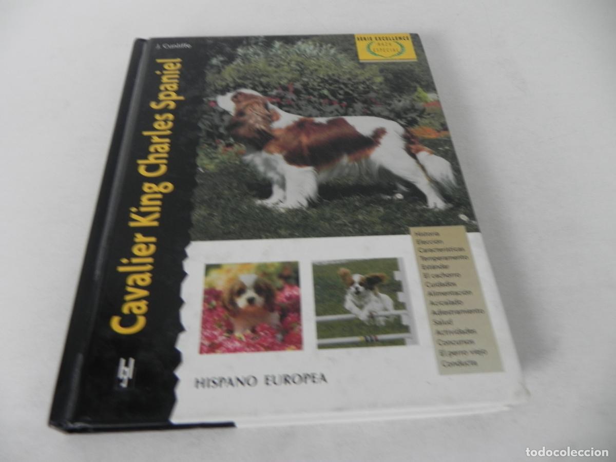 Libros de segunda mano: CAVALIER KING CHARLES SPANIEL (JULIETTE CUNLIFFE) HISPANO EUROPEA-2000 - Foto 2