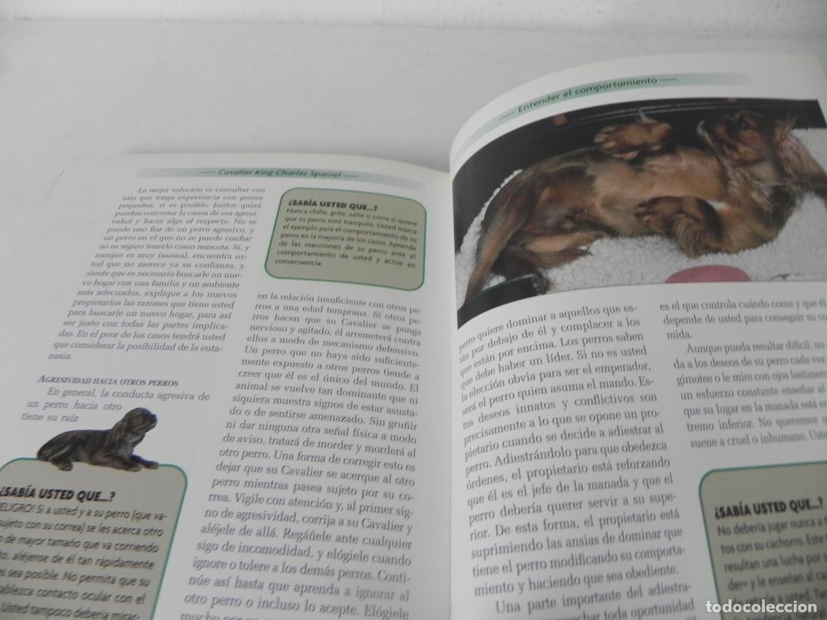 Libros de segunda mano: CAVALIER KING CHARLES SPANIEL (JULIETTE CUNLIFFE) HISPANO EUROPEA-2000 - Foto 7