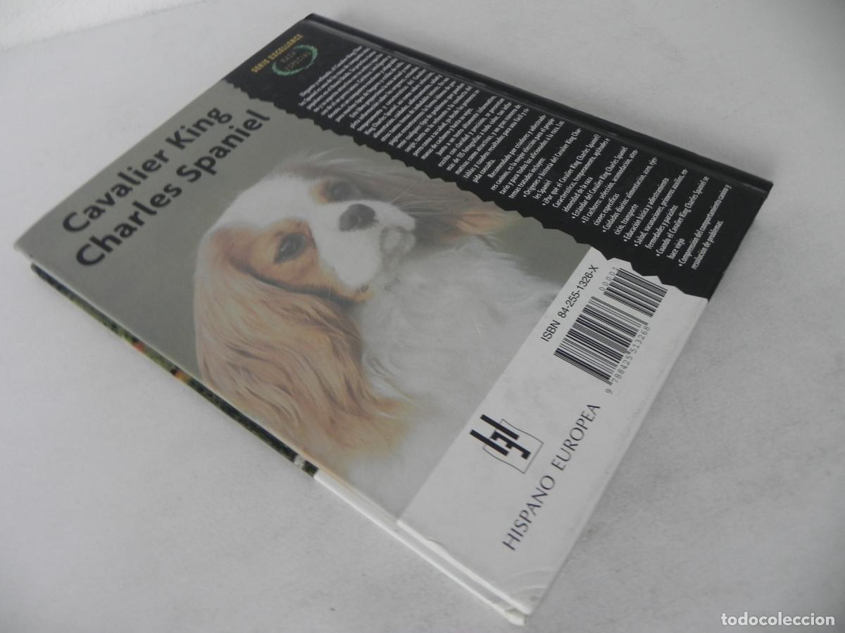 Libros de segunda mano: CAVALIER KING CHARLES SPANIEL (JULIETTE CUNLIFFE) HISPANO EUROPEA-2000 - Foto 8