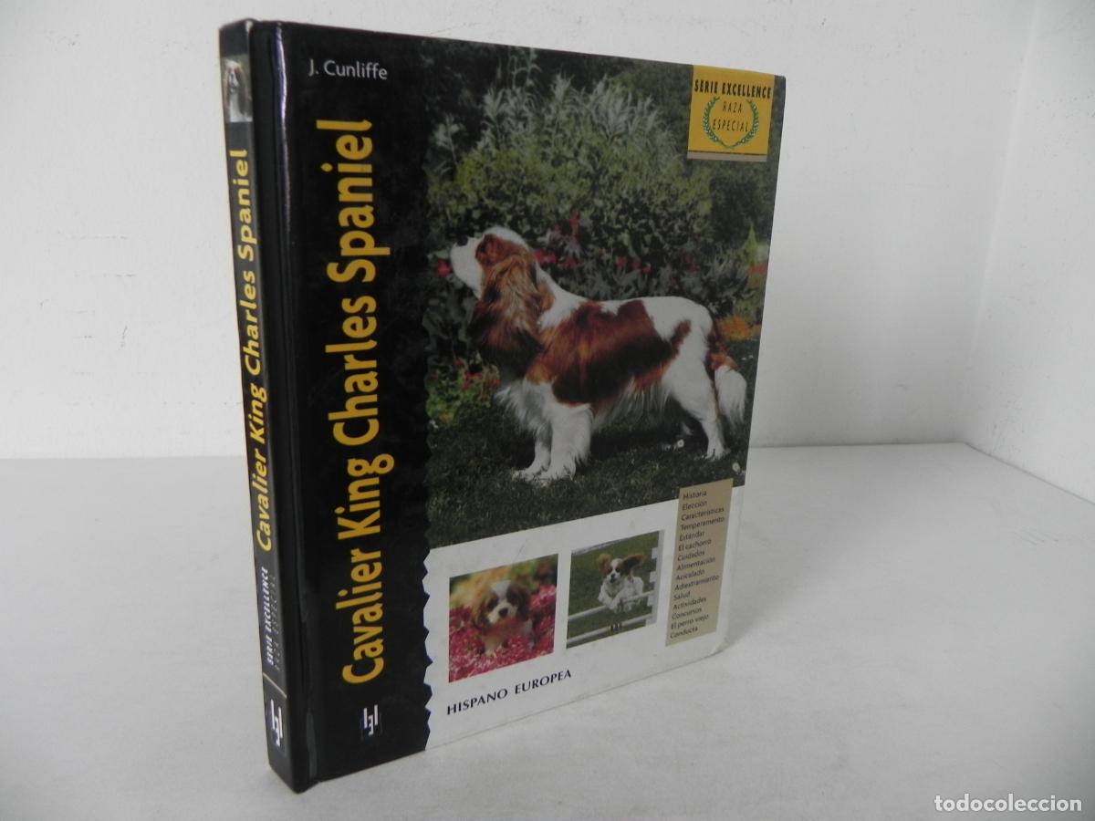 Libros de segunda mano: CAVALIER KING CHARLES SPANIEL (JULIETTE CUNLIFFE) HISPANO EUROPEA-2000 - Foto 1