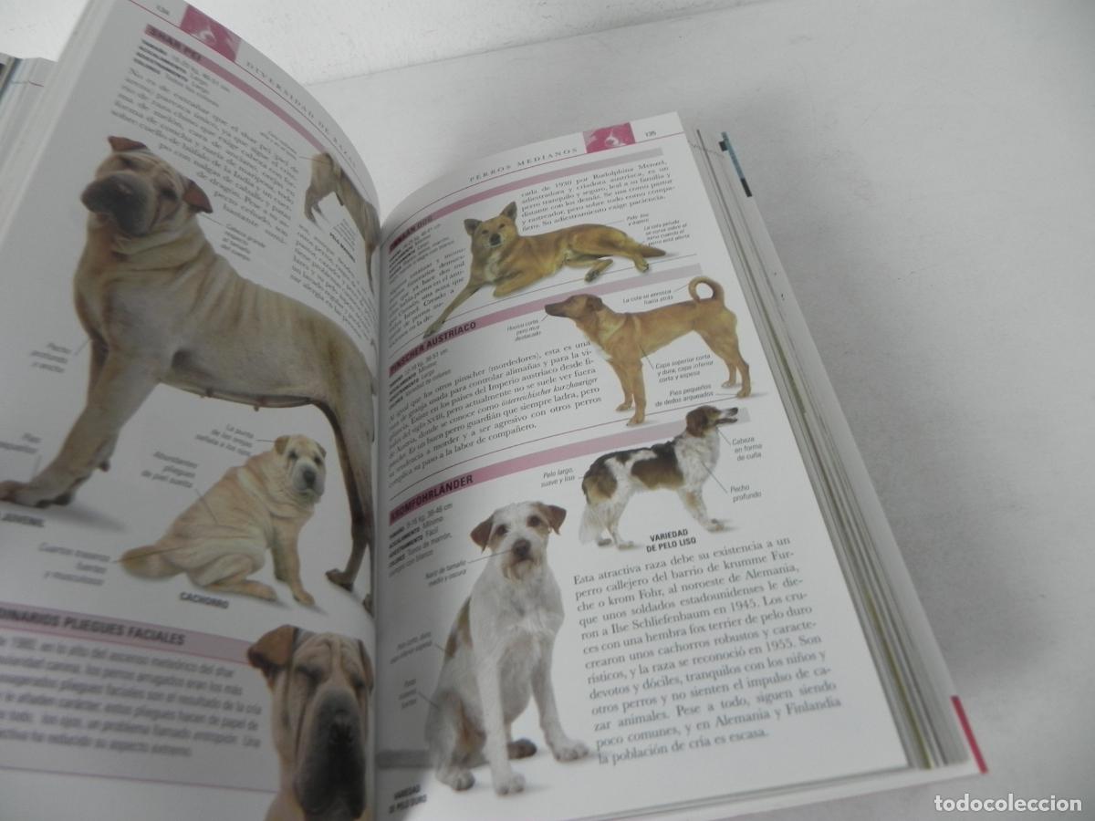 Libros de segunda mano: GU&Iacute;AS VISUALES ESPASA PERROS (DR. BRUCE FOGLE) ESPASA CALPE-2009 - Foto 4