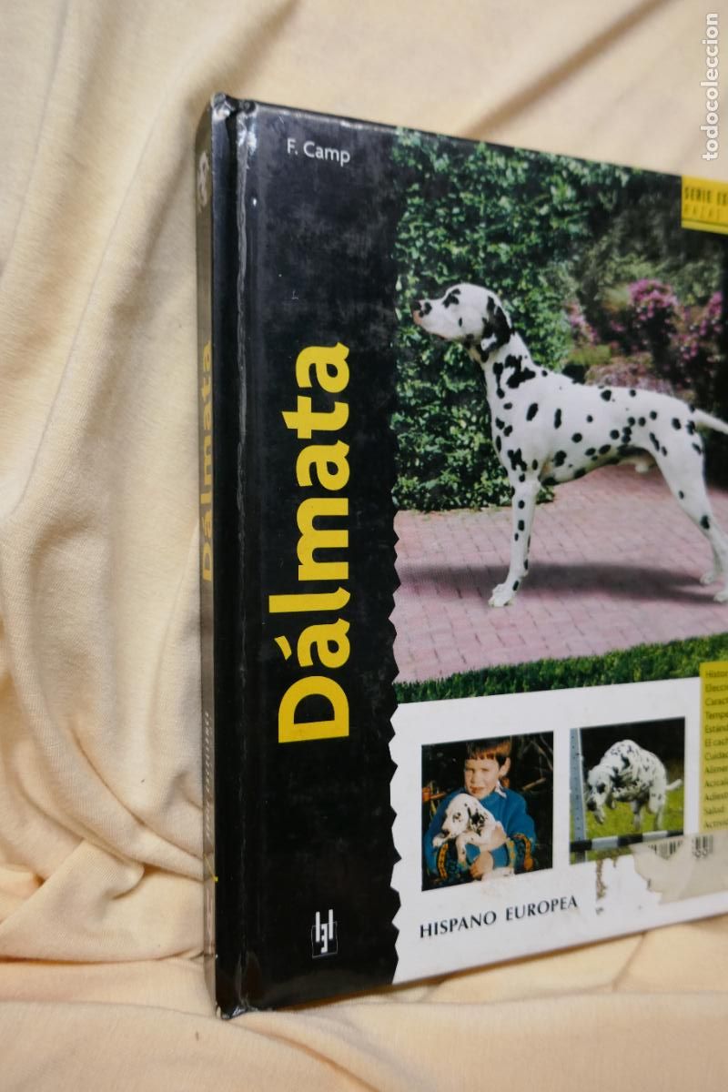 Libros de segunda mano: D&aacute;lmata - Frances Camp - David George - Foto 2