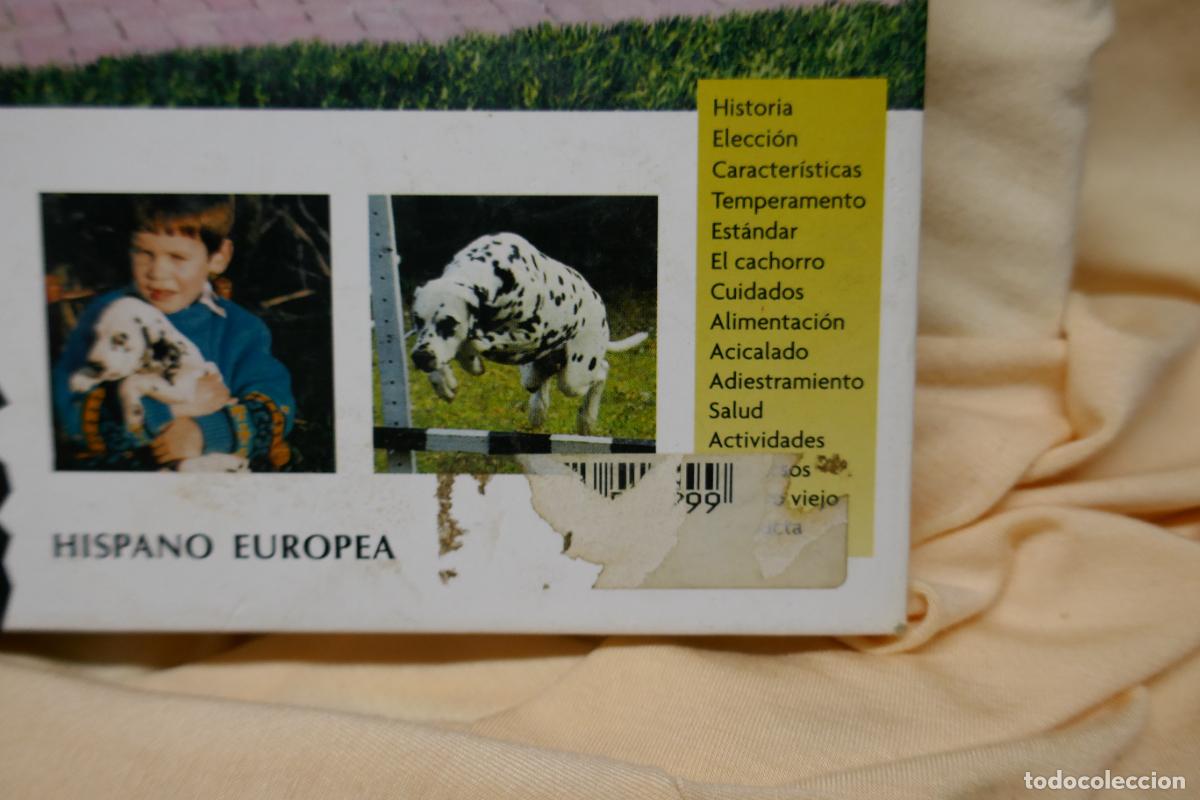 Libros de segunda mano: D&aacute;lmata - Frances Camp - David George - Foto 4
