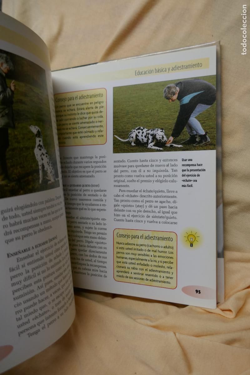 Libros de segunda mano: D&aacute;lmata - Frances Camp - David George - Foto 8