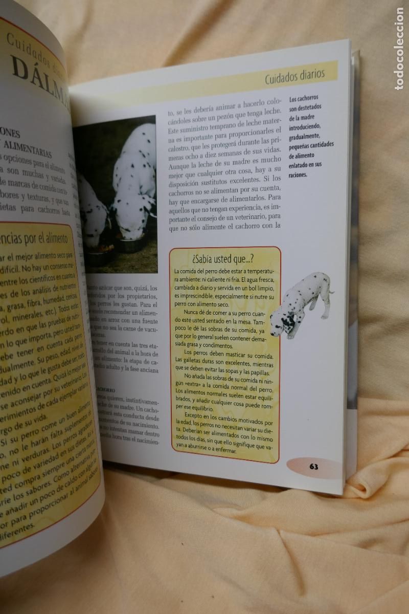 Libros de segunda mano: D&aacute;lmata - Frances Camp - David George - Foto 10