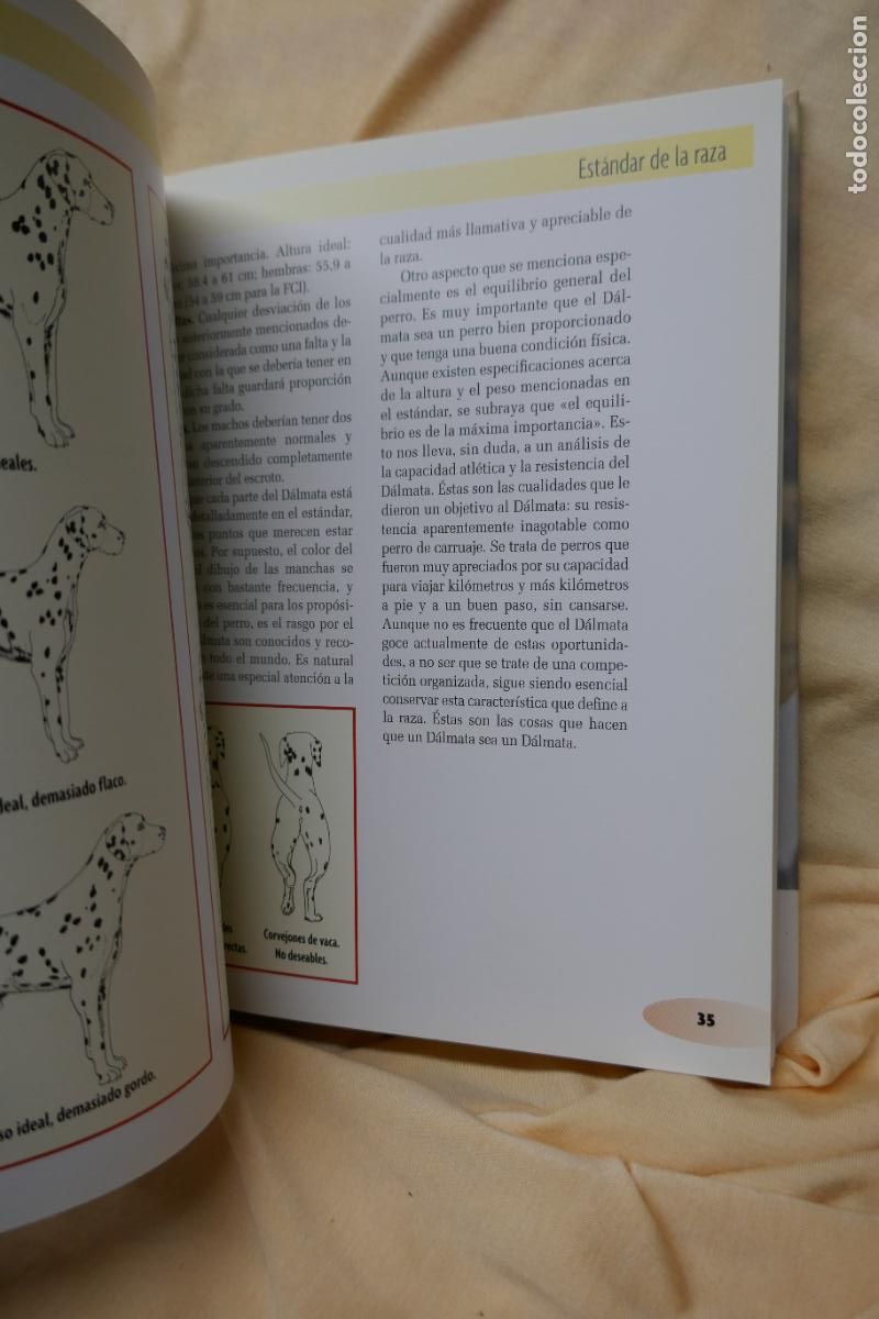 Libros de segunda mano: D&aacute;lmata - Frances Camp - David George - Foto 11