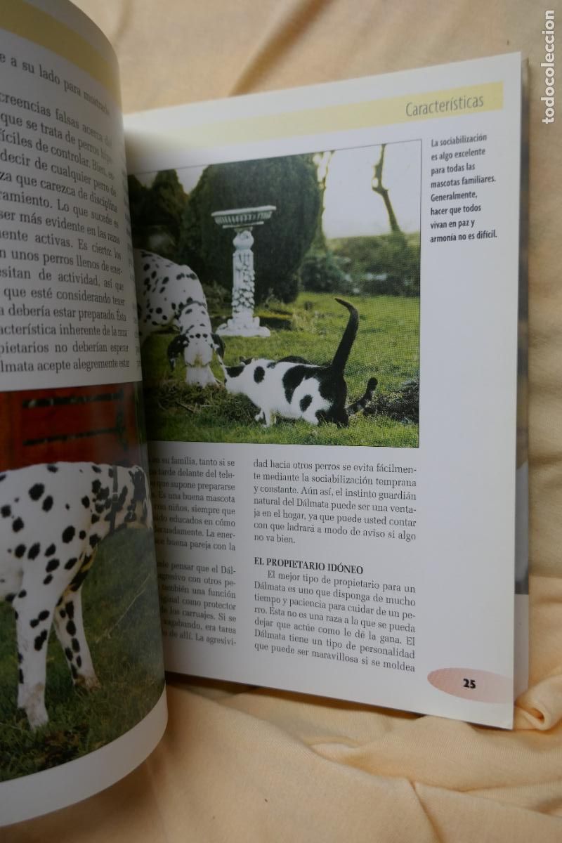 Libros de segunda mano: D&aacute;lmata - Frances Camp - David George - Foto 12