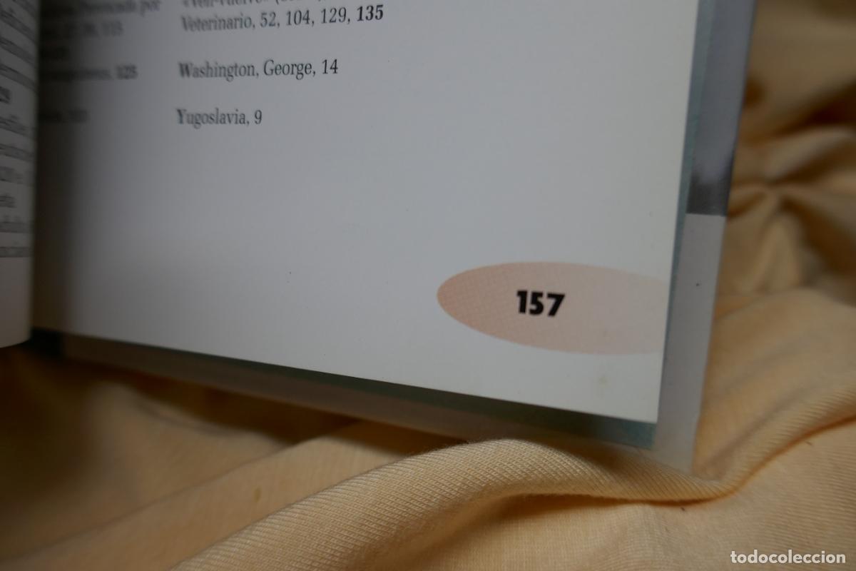 Libros de segunda mano: D&aacute;lmata - Frances Camp - David George - Foto 13