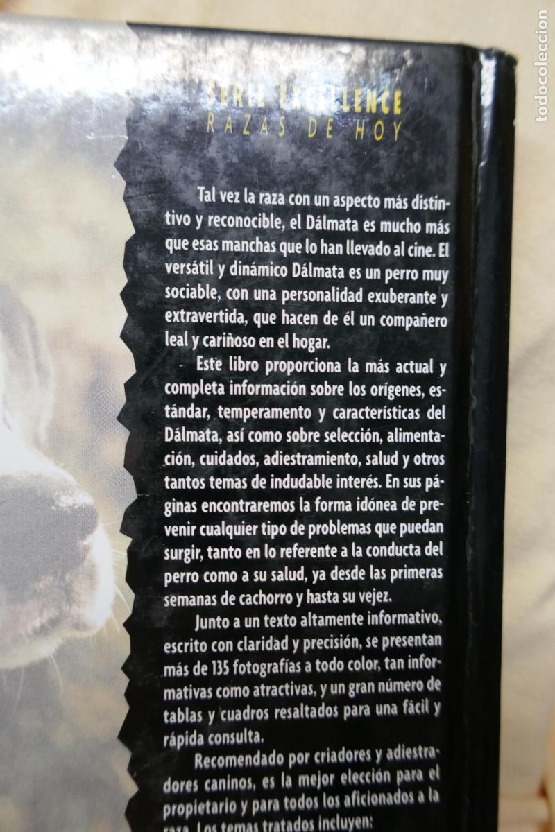 Libros de segunda mano: D&aacute;lmata - Frances Camp - David George - Foto 17