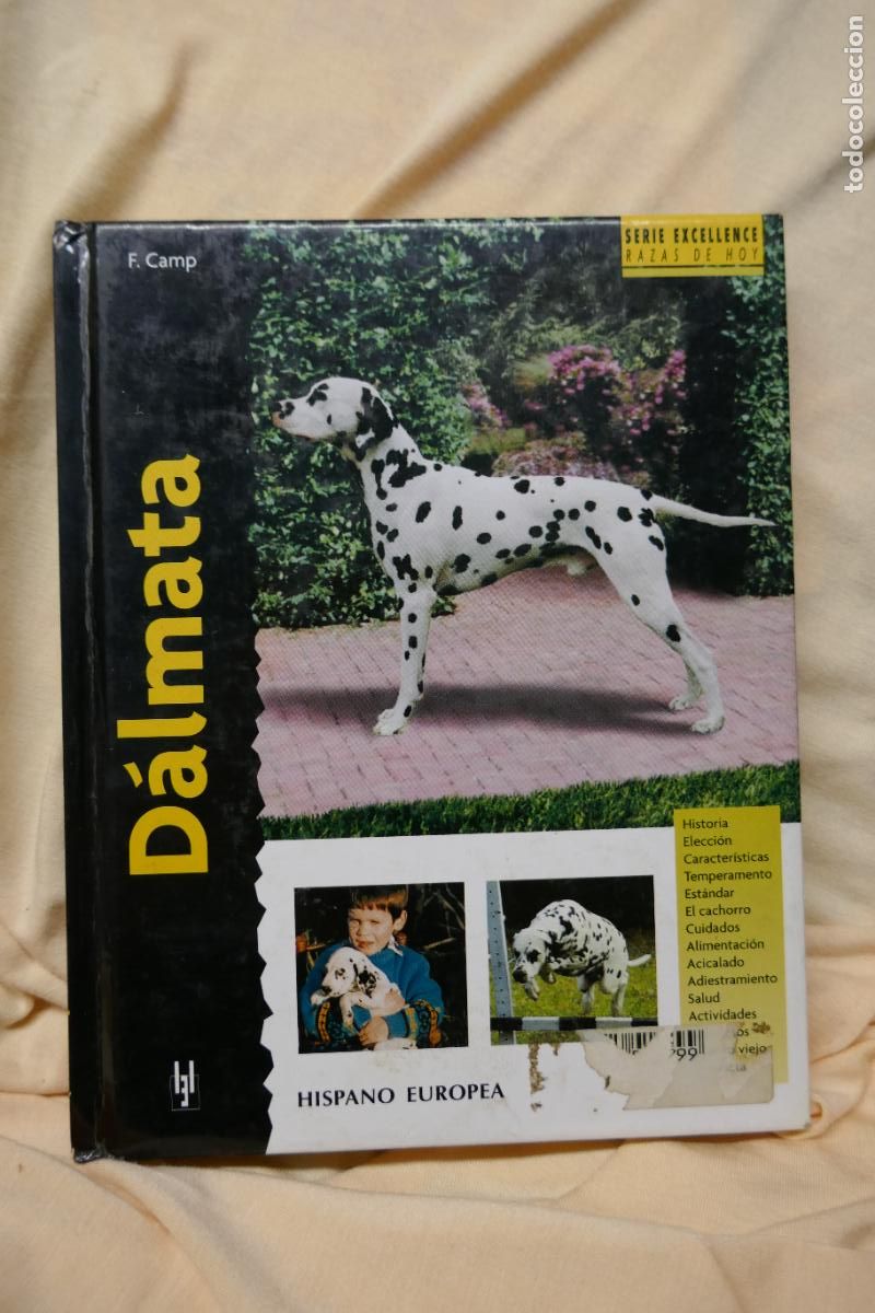 Libros de segunda mano: D&aacute;lmata - Frances Camp - David George - Foto 1