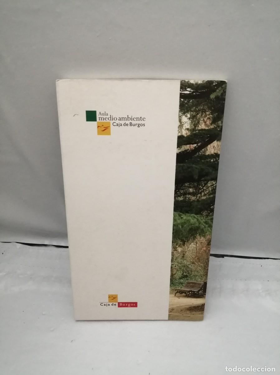 Libros de segunda mano: LOS &Aacute;RBOLES. Vida en el Campo Grande - Foto 2