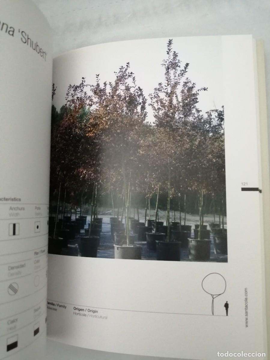 Libros de segunda mano: Santa Cole Forestal: Tree nursery (Texto en espa&ntilde;ol e ingl&eacute;s) - Foto 4
