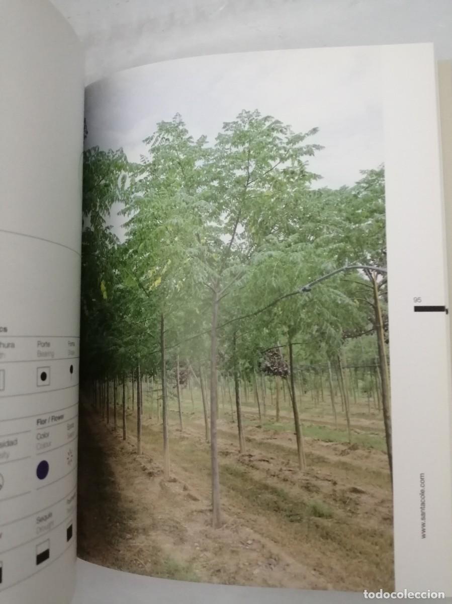 Libros de segunda mano: Santa Cole Forestal: Tree nursery (Texto en espa&ntilde;ol e ingl&eacute;s) - Foto 5