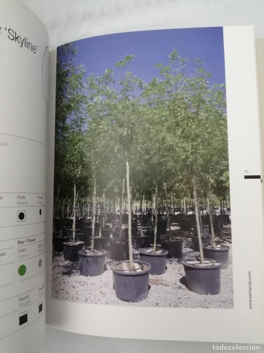 Libros de segunda mano: Santa Cole Forestal: Tree nursery (Texto en espa&ntilde;ol e ingl&eacute;s) - Foto 6