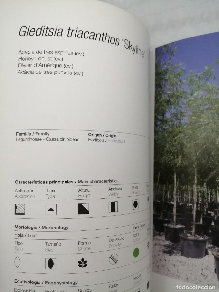 Libros de segunda mano: Santa Cole Forestal: Tree nursery (Texto en espa&ntilde;ol e ingl&eacute;s) - Foto 7