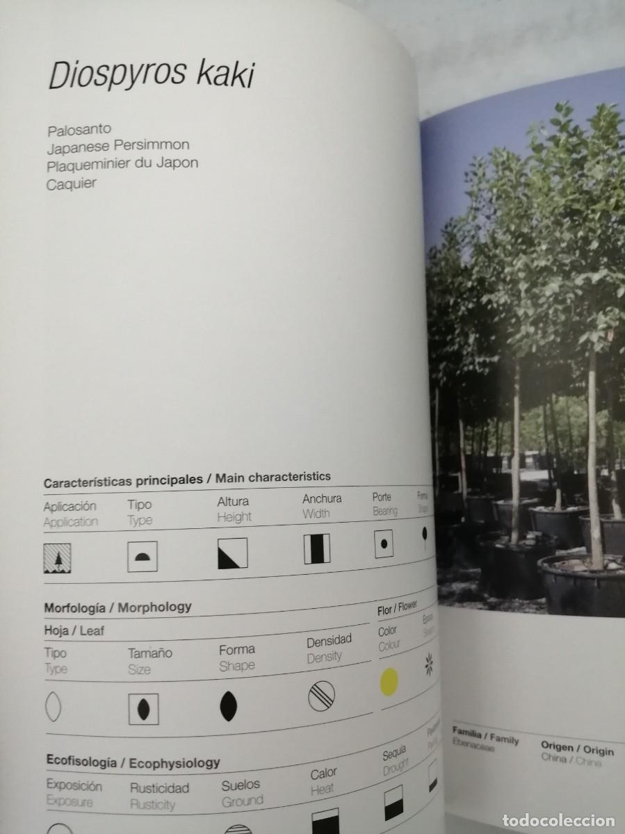 Libros de segunda mano: Santa Cole Forestal: Tree nursery (Texto en espa&ntilde;ol e ingl&eacute;s) - Foto 8