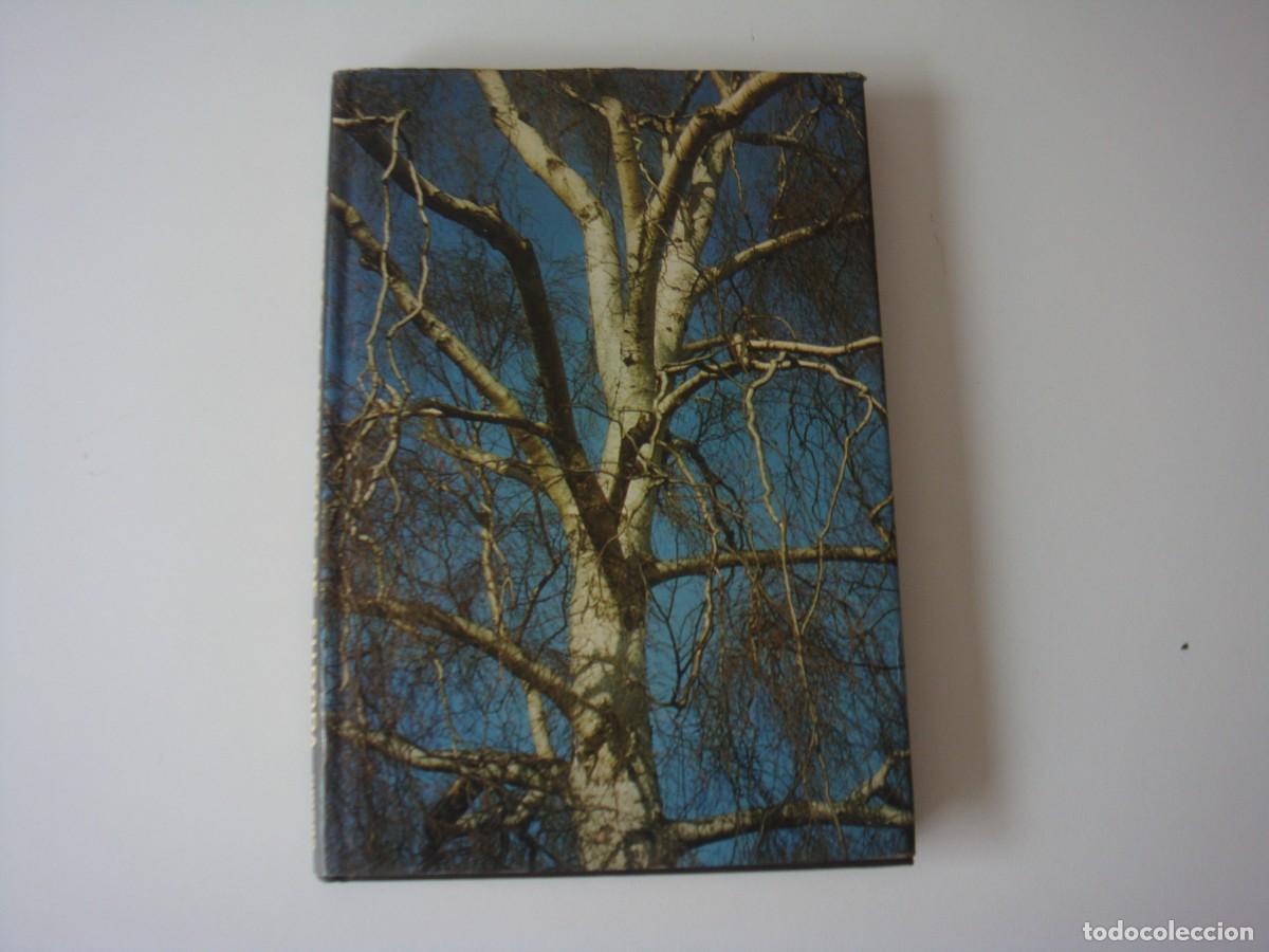 Libros de segunda mano: ARBOLES Y ARBUSTOS DE EUROPA OMEGA POLUNIN EVERARD - Foto 1