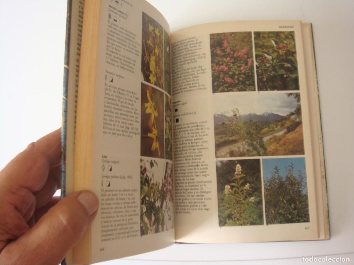 Libros de segunda mano: ARBOLES Y ARBUSTOS DE EUROPA OMEGA POLUNIN EVERARD - Foto 3