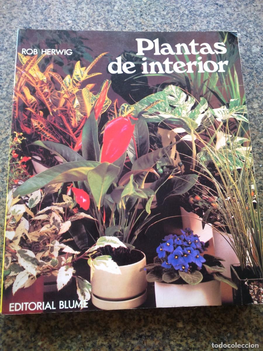 Libros de segunda mano: PLANTAS DE CASA -- ROB HERWIG -- EDITORIAL BLUME 1981 -- - Foto 1