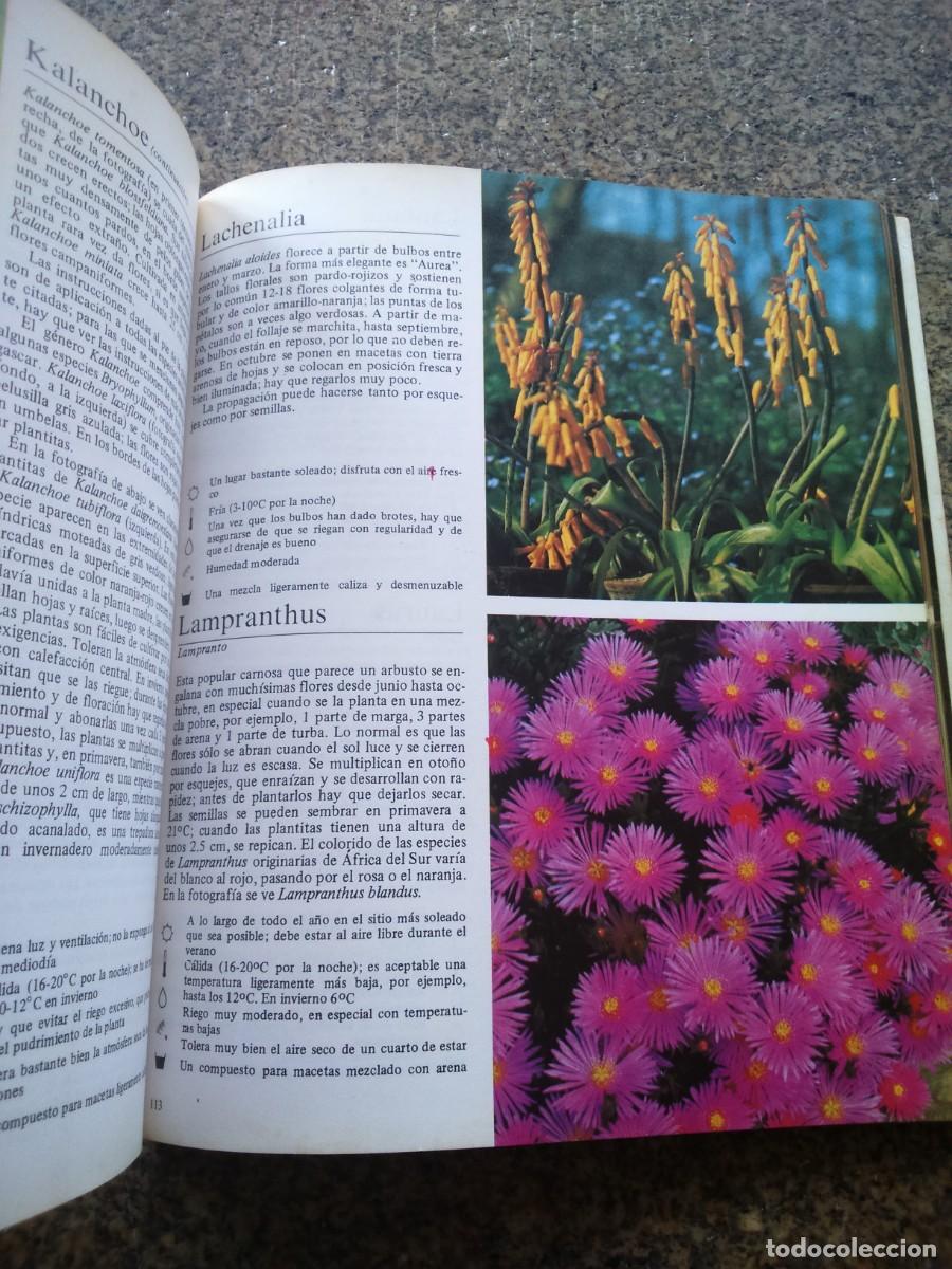 Libros de segunda mano: PLANTAS DE CASA -- ROB HERWIG -- EDITORIAL BLUME 1981 -- - Foto 2