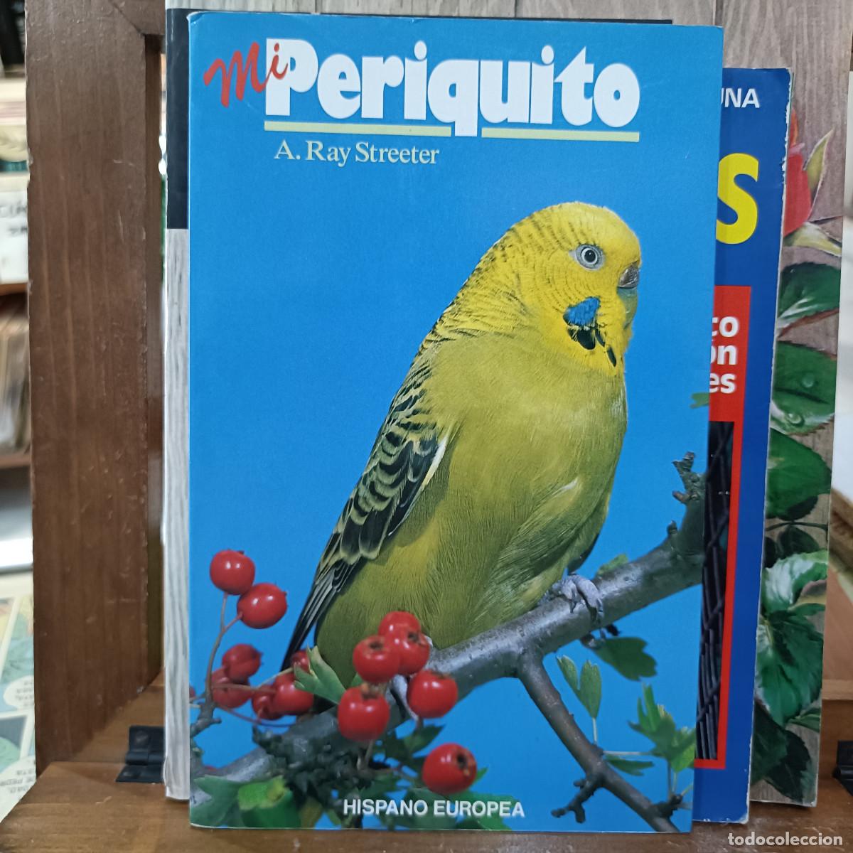 Libros de segunda mano: Mi Periquito - A. Eay Streeter - Editorial Hispano Europea 1992 - Foto 1