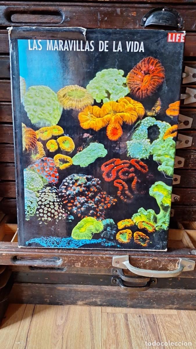 Libros de segunda mano: Las MARAVILLAS de la VIDA / Life - Foto 1