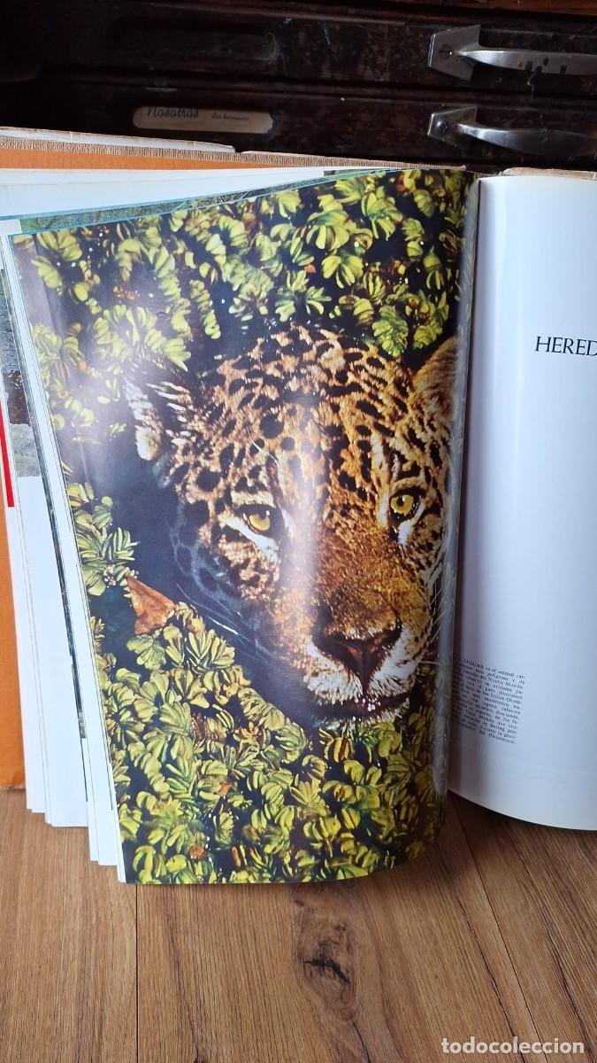 Libros de segunda mano: Las MARAVILLAS de la VIDA / Life - Foto 2