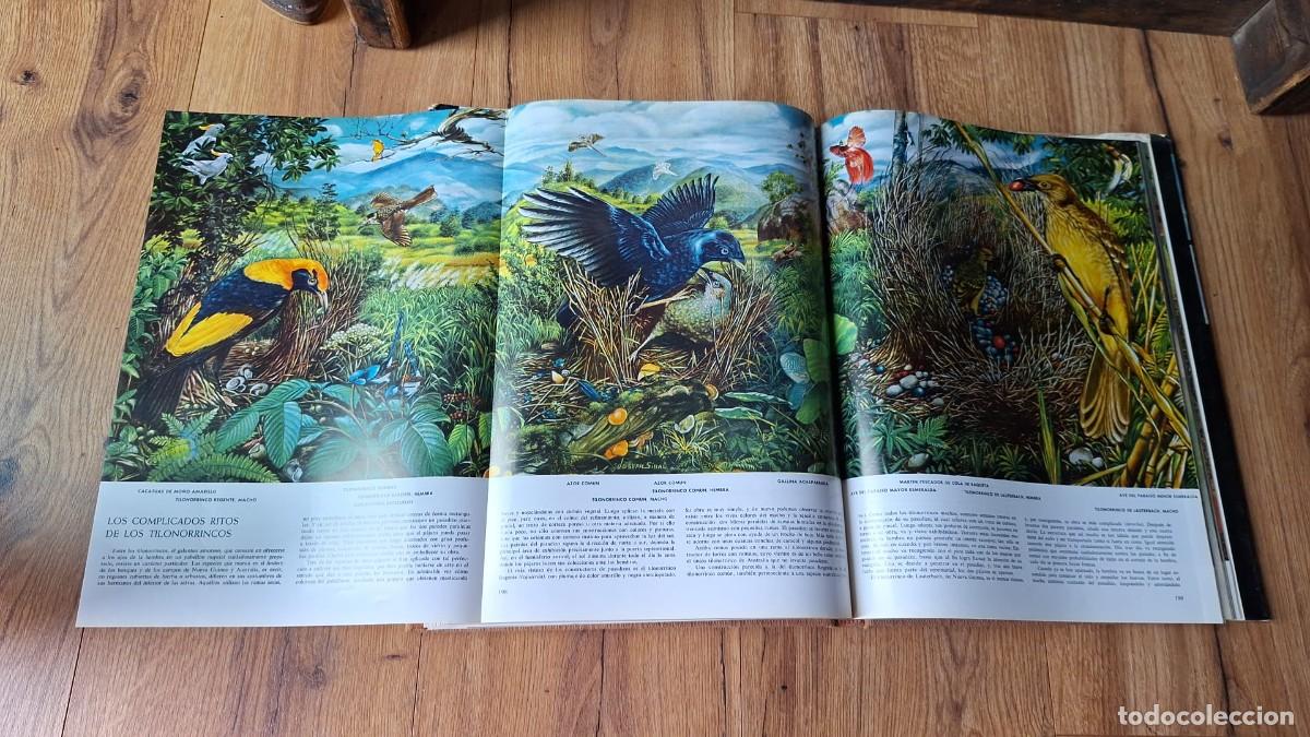 Libros de segunda mano: Las MARAVILLAS de la VIDA / Life - Foto 3