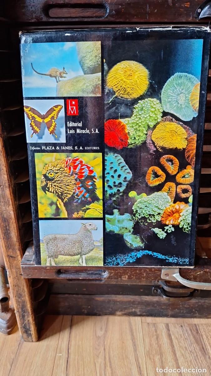 Libros de segunda mano: Las MARAVILLAS de la VIDA / Life - Foto 7