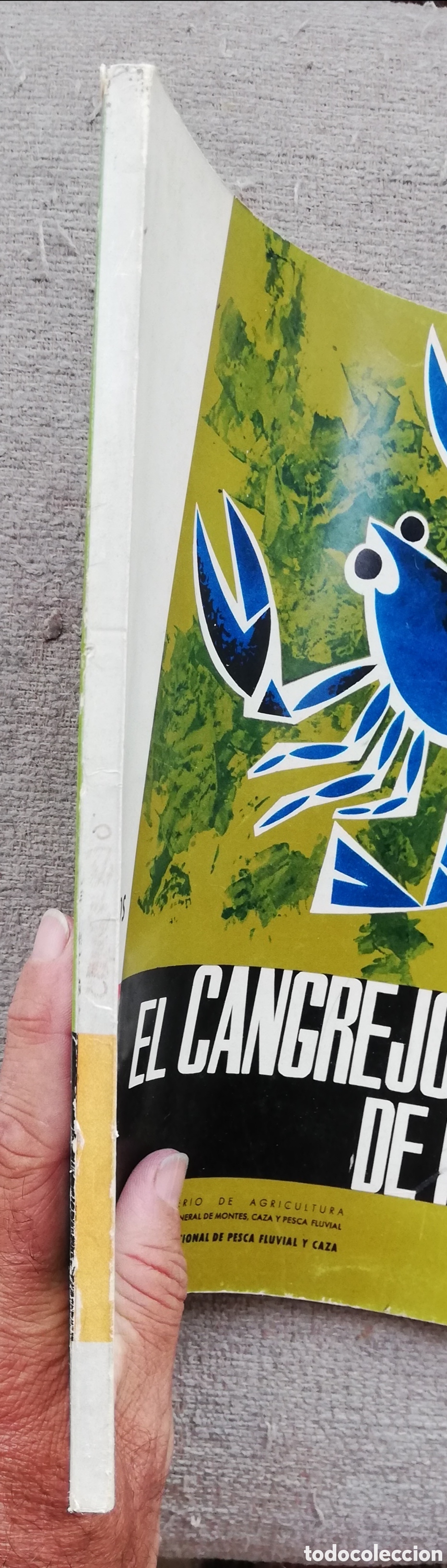 Libros de segunda mano: Documentos t&eacute;cnicos 3. Serie pisc&iacute;cola. El cangrejo de r&iacute;o - Foto 2