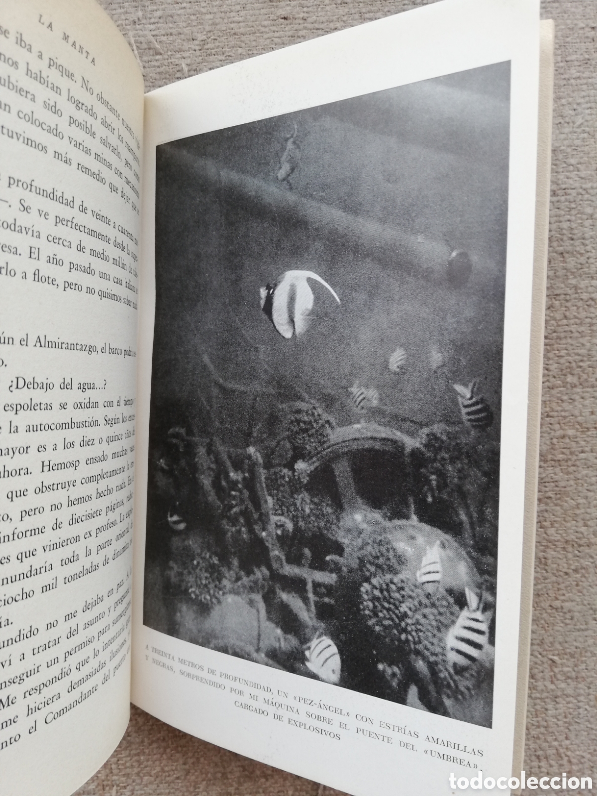 Libros de segunda mano: La Manta. El diablo del Mar Rojo, de Hans Hass - Foto 3