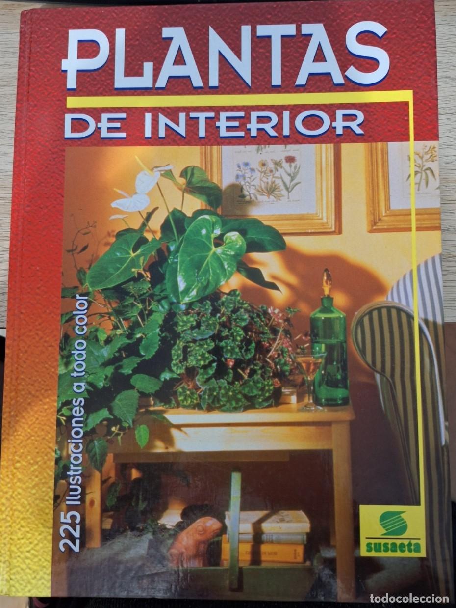Libros de segunda mano: PLANTAS DE INTERIOR. - HAAGER, Jiri. - Foto 1