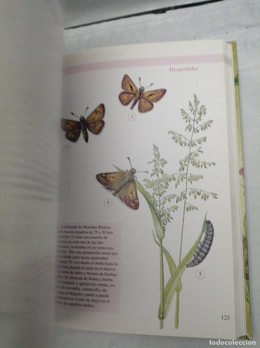 Libros de segunda mano: Mariposas (Biblioteca de la naturaleza Tikal) - Foto 3