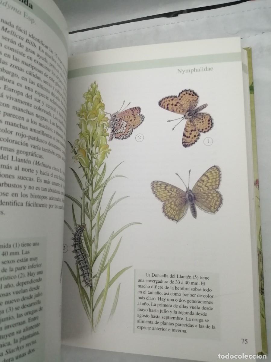 Libros de segunda mano: Mariposas (Biblioteca de la naturaleza Tikal) - Foto 4