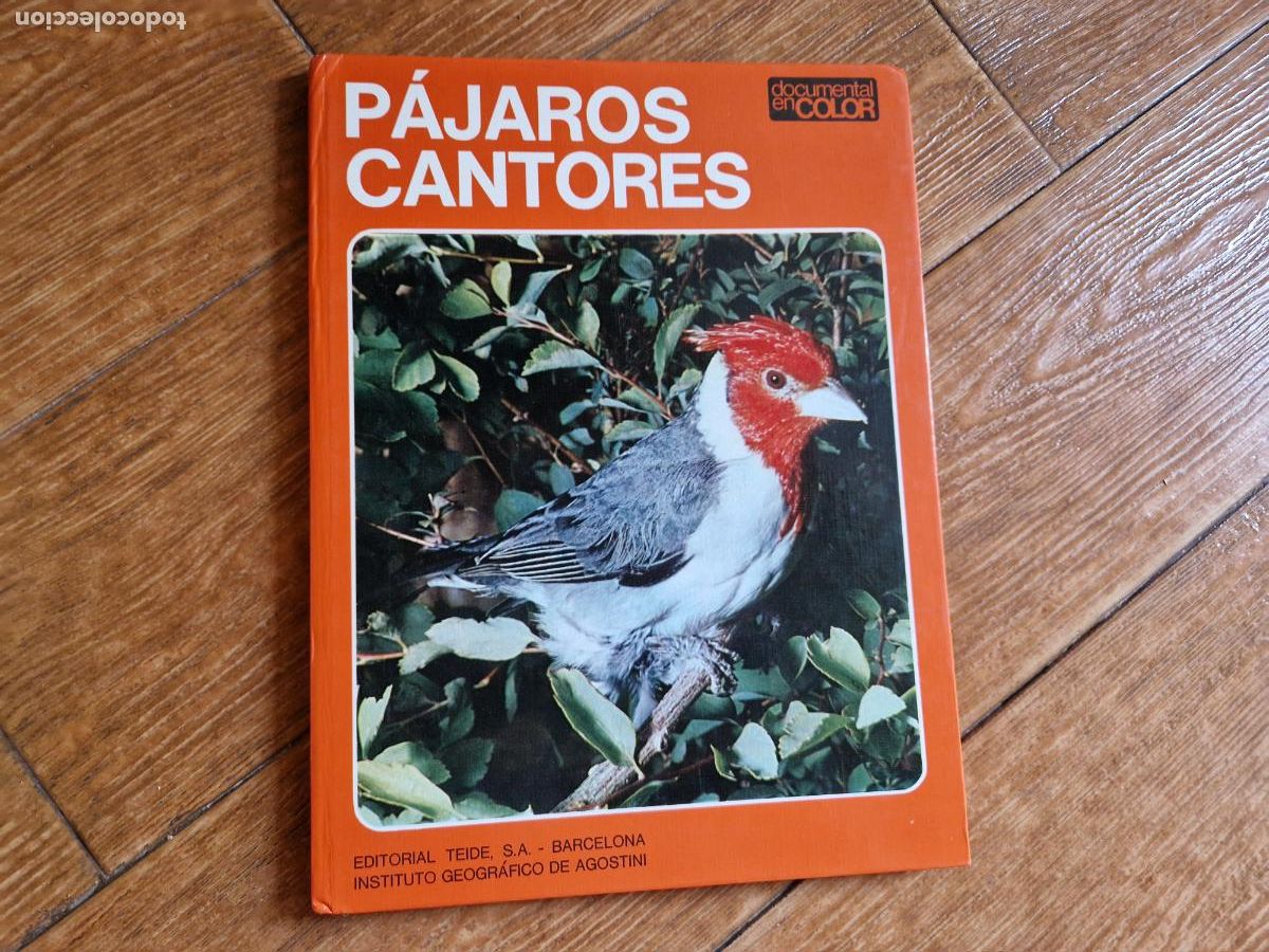 Libros de segunda mano: PAJAROS CANTORES. DOCUMENTAL EN COLOR. EDITORIAL TEIDE 1972 - Foto 1