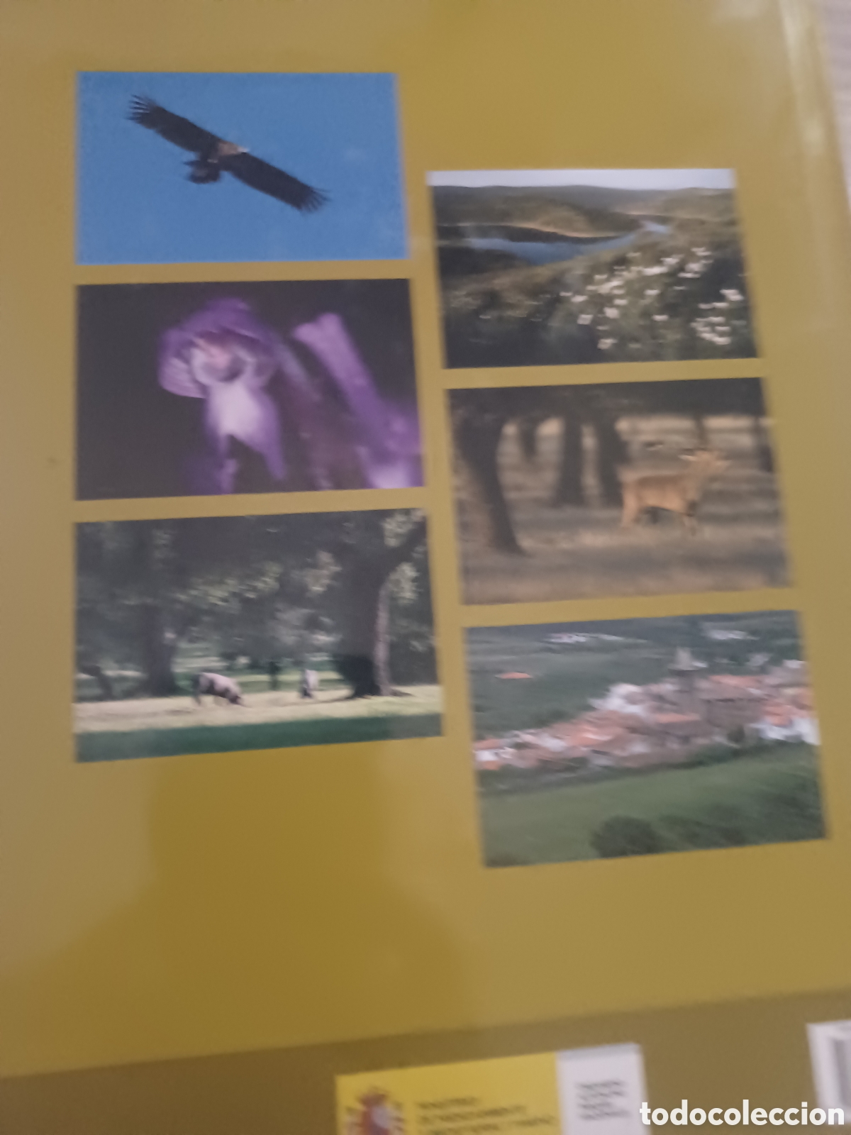 Libros de segunda mano: Barybook 111. Parque Nacional de Monfrag&uuml;e esfagnos - Foto 2