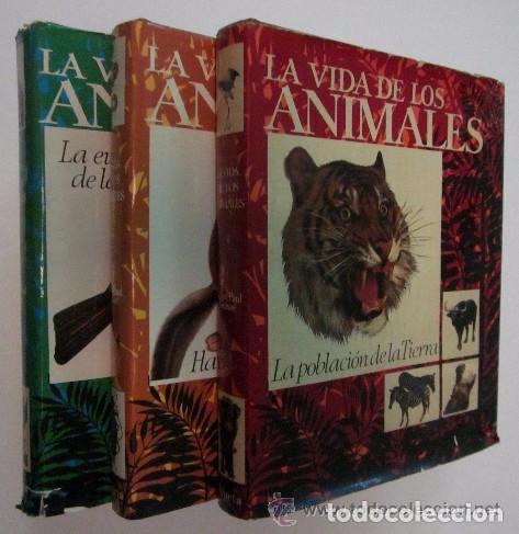 Libros de segunda mano: LA VIDA DE LOS ANIMALES - 3 TOMOS - Foto 1