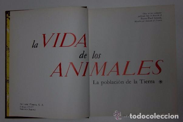 Libros de segunda mano: LA VIDA DE LOS ANIMALES - 3 TOMOS - Foto 2