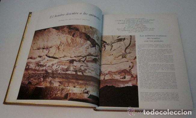 Libros de segunda mano: LA VIDA DE LOS ANIMALES - 3 TOMOS - Foto 3